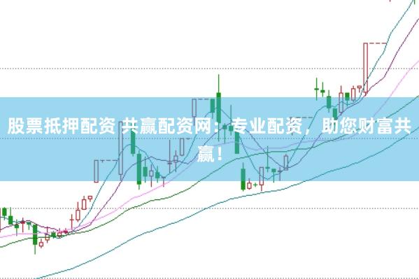 股票抵押配资 共赢配资网：专业配资，助您财富共赢！