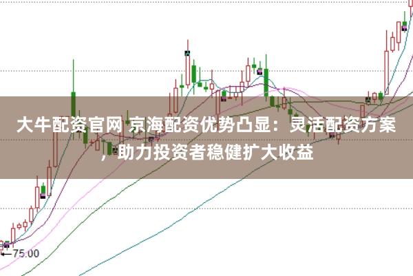 大牛配资官网 京海配资优势凸显：灵活配资方案，助力投资者稳健扩大收益