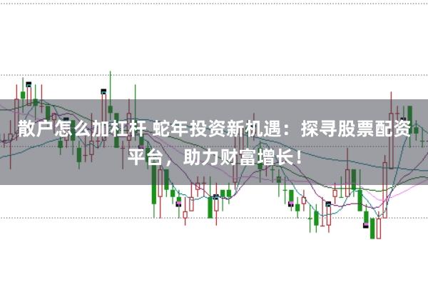 散户怎么加杠杆 蛇年投资新机遇：探寻股票配资平台，助力财富增长！