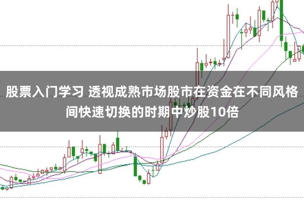 股票入门学习 透视成熟市场股市在资金在不同风格间快速切换的时期中炒股10倍